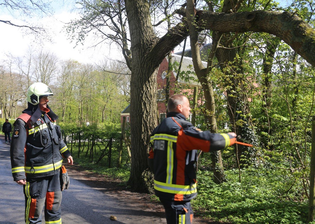 Grote tak breekt af Westeinde Noordwijkerhout